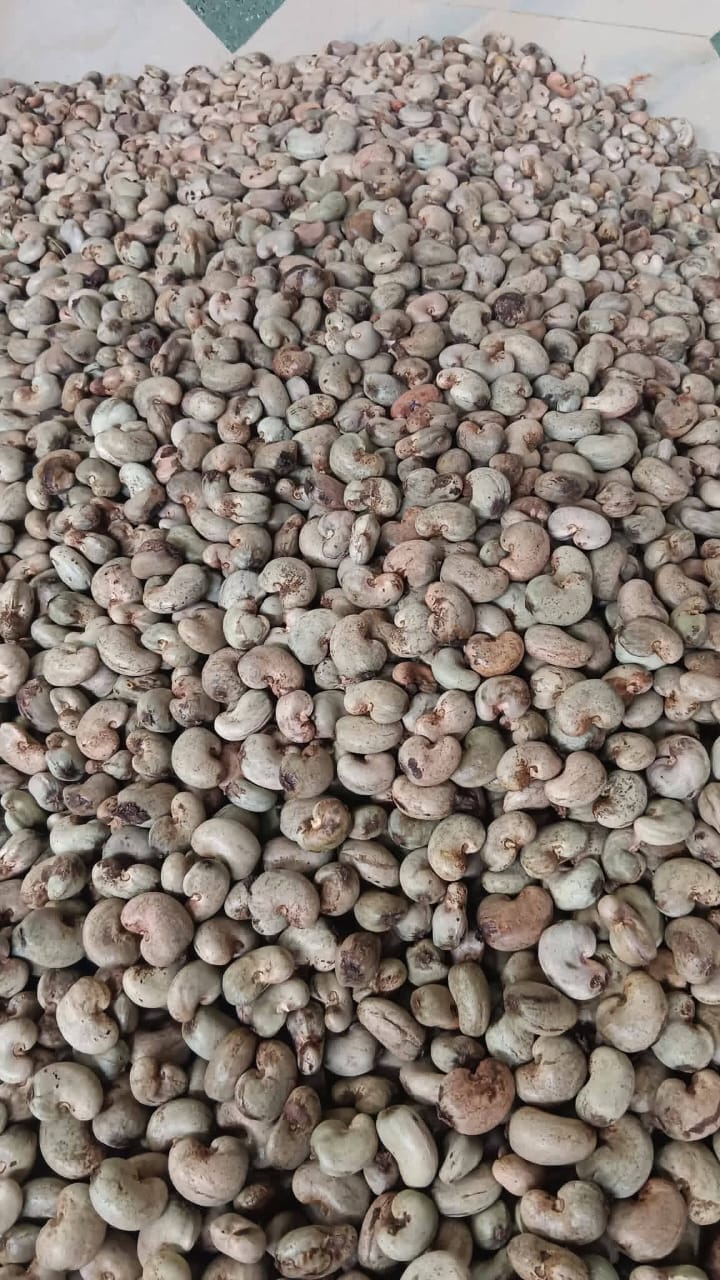 Vitametrics raw cashew nuts product photo 1